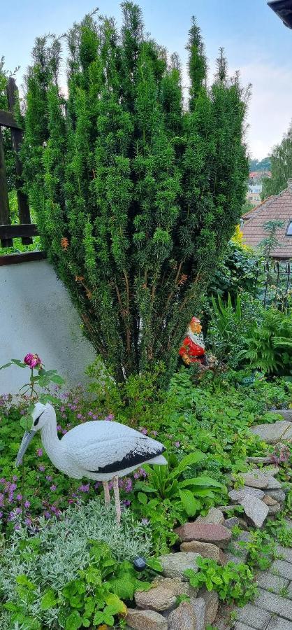 Pokoje Goscinne Duszniki Zdrój Exterior foto